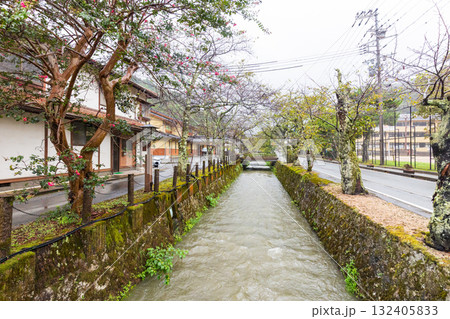 城崎温泉街　町並み風景 132405833
