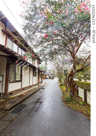 城崎温泉街　町並み風景 132405835