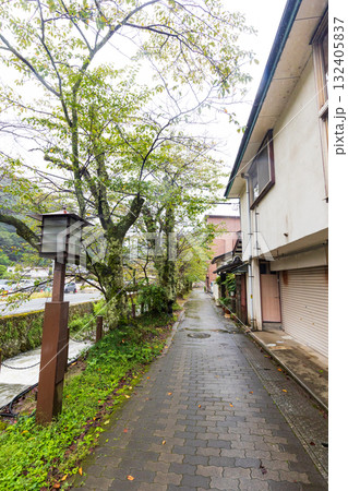 城崎温泉街　町並み風景 132405837