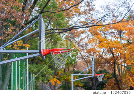 都内のバスケットゴール02 132407056