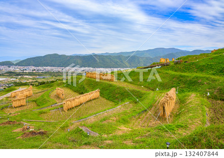 稲架掛けの景色と善光寺平【姨捨の棚田】 132407844