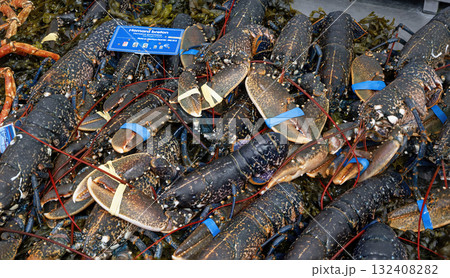 Lobsters at the shop counter Lobsters at the shop counter 132408282