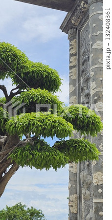 An exquisitely sculpted bonsai tree in a decorative stone planter stands before a majestic grey temple structure with a fierce dragon roof. 132408361
