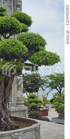 A perfectly manicured tiered green bonsai tree contrasts with the ornate grey architecture of a traditional temple building and the sky. A perfectly manicured tiered green bonsai tree contrasts with the ornate grey architecture of a traditional temple building and the sky. 132408365