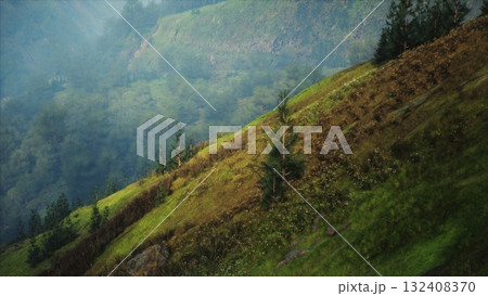 A scenic view of a grassy hill with trees atop its slopes, nestled among alpine meadows. 132408370