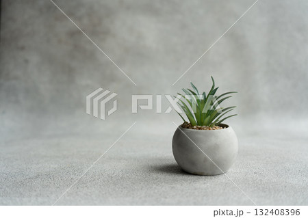 Aloe plant in concrete pot on the shelf Aloe plant in concrete pot on the shelf 132408396