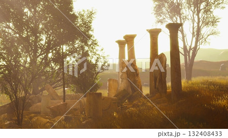 Amidst tall grasses, weathered stone pillars rise against the warm glow of a sunset. Trees frame the scene, adding a touch of nature to this tranquil landscape rich in history. Amidst tall grasses, weathered stone pillars rise against the warm glow of a sunset. Trees frame the scene, adding a touch of nature to this tranquil landscape rich in history. 132408433