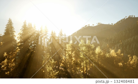 Dappled sunlight filters through a canopy of vibrant trees, painting the landscape in warm hues. The scene captures a serene moment of nature awakening in a peaceful forest. Dappled sunlight filters through a canopy of vibrant trees, painting the landscape in warm hues. The scene captures a serene moment of nature awakening in a peaceful forest. 132408481