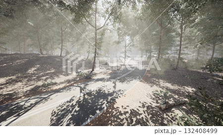 A quiet road meanders through a serene forest, shrouded in morning mist. Sunlight filters through the trees, casting playful shadows on the ground, creating a peaceful atmosphere. A quiet road meanders through a serene forest, shrouded in morning mist. Sunlight filters through the trees, casting playful shadows on the ground, creating a peaceful atmosphere. 132408499