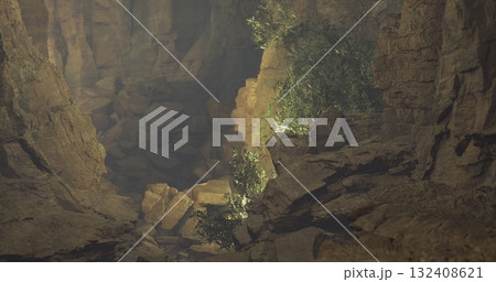 Sunlight pours into a narrow canyon, highlighting the rugged rock formations and delicate greenery. The interplay of light and shadow creates a captivating visual display. 132408621