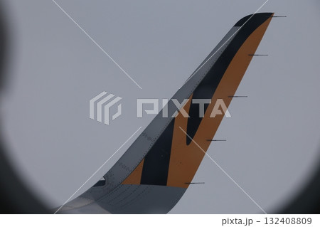 空の旅 ハエ 飛行 132408809