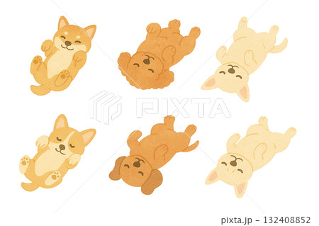 可愛い犬のイラストのセット　お腹をみせて寝る　笑顔 132408852