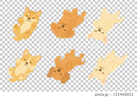 可愛い犬のイラストのセット　お腹をみせて寝る　笑顔 132408852