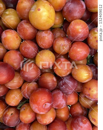 Fresh ripe plums with vibrant red and orange hues forming a colorful fruit background 132409012