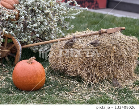 Autumn harvest scene with pumpkin, hay, birds, and foliage in a rustic outdoor setting 132409026
