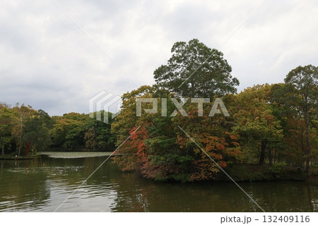 大沼国定公園 北海道 日本 132409116