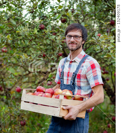 Smiling male farmer in checkered shirt holding wooden crate full of red apples  132409178
