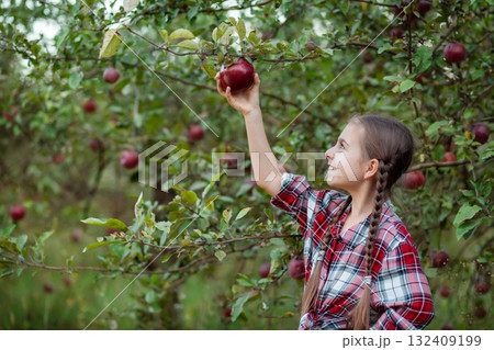 Beautiful girl apple in organic apples in orchard. Girl eating organic apple in garden Beautiful girl apple in organic apples in orchard. Girl eating organic apple in garden 132409199