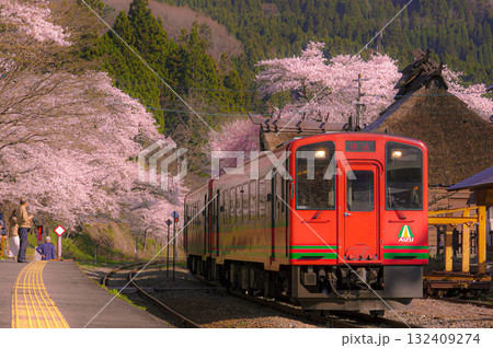桜鉄道 --春を運ぶ列車-- 桜鉄道 --春を運ぶ列車-- 132409274