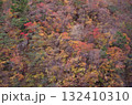 紅葉した山 132410310