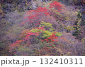 紅葉した山 132410311