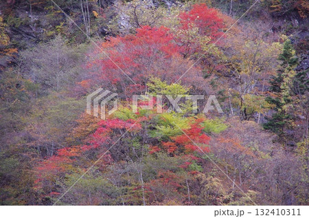 紅葉した山 132410311