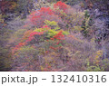 山の中のカラフルな紅葉 132410316