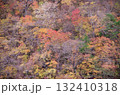 紅葉した山 132410318