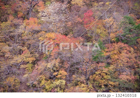 紅葉した山 132410318