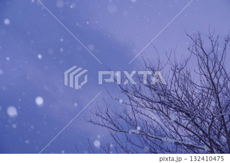 雪の日 雪の日 132410475