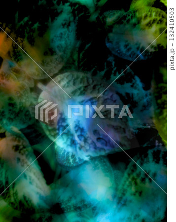 カラフルな光に照らされる葉が綺麗なカメラ内多重露光撮影 132410503