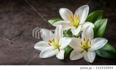 Concept mourning. White lily flowers on dark background. We remember, we mourn. Single white lily lit by surrounding candlelight on wet reflective surface, 132410944