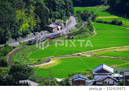 N2000系　特急「うずしお」　JR高徳線 132410971