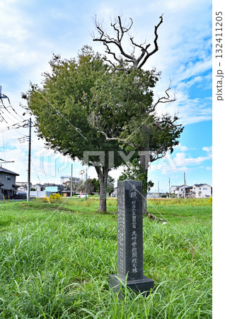 越谷散歩：史跡 東養寺跡　埼玉県越谷市大竹 132411205