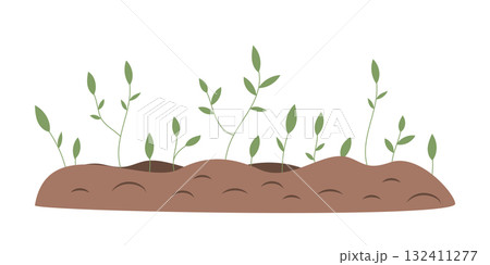 Young shoots are breaking through the soil. Spring green sprouts. Ecology, gardening and agriculture themes. Vector design element on a white background. 132411277