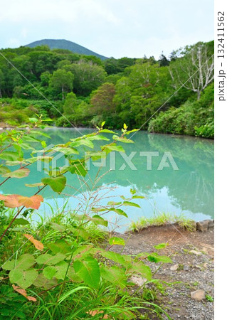 酸ヶ湯温泉 地獄沼(青森県) 酸ヶ湯温泉 地獄沼(青森県) 132411562