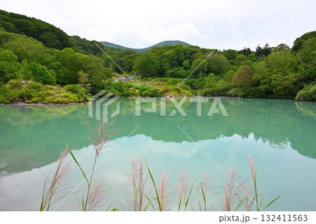 酸ヶ湯温泉　地獄沼（青森県） 132411563