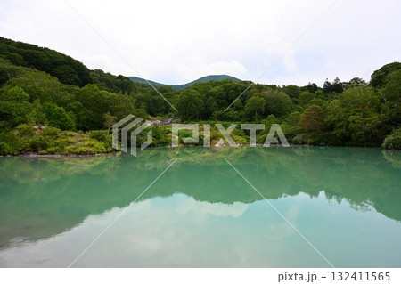 酸ヶ湯温泉 地獄沼(青森県) 酸ヶ湯温泉 地獄沼(青森県) 132411565