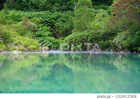 酸ヶ湯温泉 地獄沼(青森県) 酸ヶ湯温泉 地獄沼(青森県) 132411568