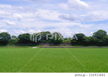 畑と青空 132411681