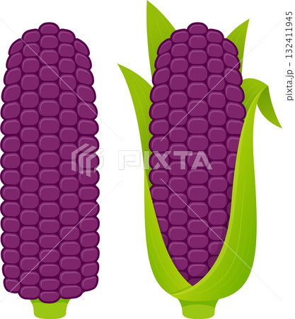 Purple corn cobs illustration 132411945