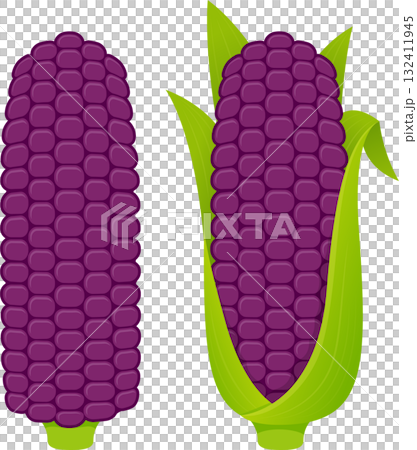 Purple corn cobs illustration 132411945