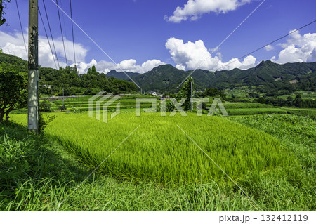 高千穂　岩戸川沿いの田園風景　宮崎県高千穂町 132412119