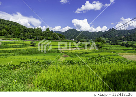 高千穂　岩戸川沿いの田園風景　宮崎県高千穂町 132412120
