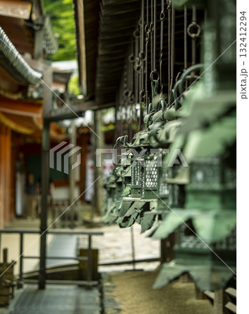 春日大社の釣灯籠が連なる風情ある回廊の風景 132412294