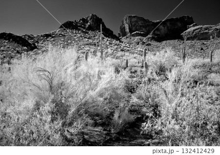 Monochrome Sonoran Desert Arizona Picacho Peak State Park 132412429