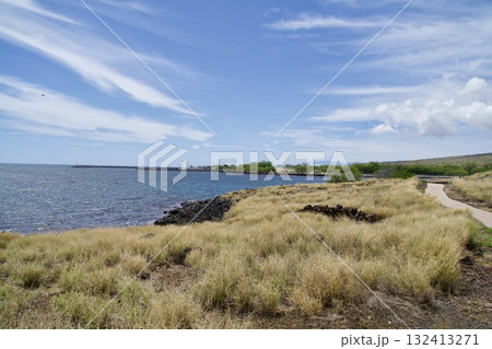 プウコホラ ヘイアウ国立歴史公園の草原と海の風景 132413271