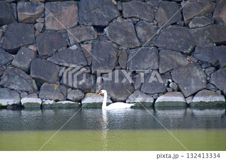 旧江戸城(皇居)の内堀【東京都千代田区】 旧江戸城(皇居)の内堀【東京都千代田区】 132413334