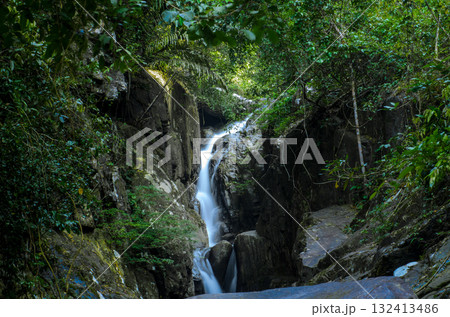 Small waterfall in the jungle. Lush green jungle with small cascading waterfall Small waterfall in the jungle. Lush green jungle with small cascading waterfall 132413486