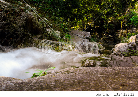 Turbulent small river in the jungle. Small picturesque river surrounded by dense tropical jungle. Turbulent small river in the jungle. Small picturesque river surrounded by dense tropical jungle. 132413513